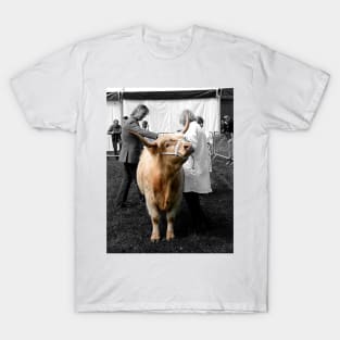 Northumberland Show Bull 2012 T-Shirt